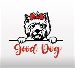 Groomer Good Dog, Baranów godziny otwarcia