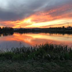 Gospodarstwo Rybackie Liplas, godziny otwarcia