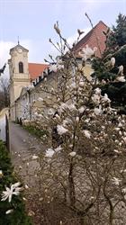 Dom Rekolekcyjny Alma Mater w Obrze, Obra godziny otwarcia