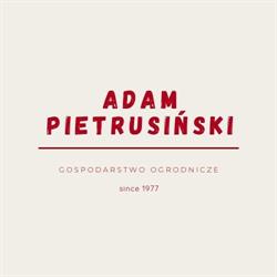 Gospodarstwo Ogrodnicze Adam Pietrusiński, Jadowniki godziny otwarcia