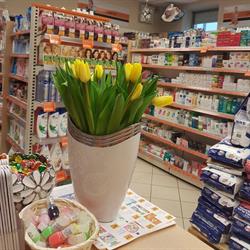 DROGERIA LABOO, Zaklików godziny otwarcia