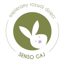 Senso Gaj - wspieramy rozwój dzieci, Kłodzko godziny otwarcia