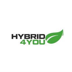 Hybrid4You - Regeneracja Baterii Hybrydowych Serwis Aut Hybrydowych, Lublin godziny otwarcia