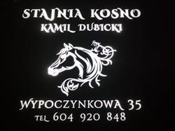 Stajnia Stadnina koni Kosno, Piła godziny otwarcia
