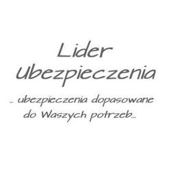 Lider Ubezpieczenia Edyta Sudomierska, Sosnowiec godziny otwarcia