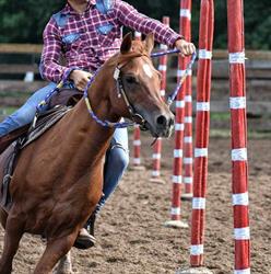 Rancho Golden Mountain, Poniszowice godziny otwarcia