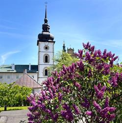 NOCLEGI U BRAM KLASZTORU, Stary Sącz godziny otwarcia