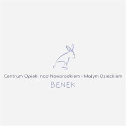 Centrum Opieki nad Noworodkiem i Małym Dzieckiem BENEK Neurologopedia i Fizjoterapia, Katowice godziny otwarcia