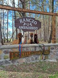 Ranczo u Ambrożego, Dąbrówka godziny otwarcia