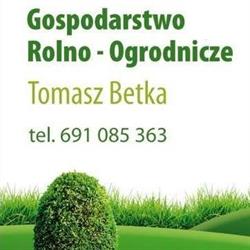 Krzewy ozdobne. Gospodarstwo Rolno-Ogrodnicze Tomasz Betka., Wieluń godziny otwarcia