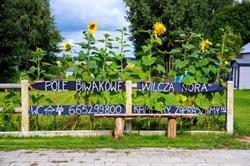 Wilcza Nora, Dolistowo Nowe godziny otwarcia