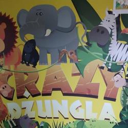 Crazy Dżungla - Sala zabaw dla dzieci, Rawicz godziny otwarcia
