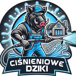 Ciśnieniowe Dziki Usługi mycia ciśnieniowego, Wieliszew godziny otwarcia