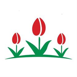 Kwiaciana Polana Kwiaciarnia Ostrowiec Kwiaty Bukiety Kwiaty ostrowiec, Ostrowiec Świętokrzyski godziny otwarcia