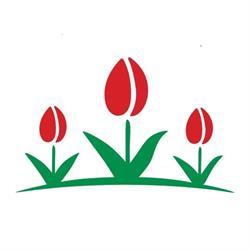 Kwiaciana Polana Kwiaciarnia Ostrowiec Kwiaty Bukiety Kwiaty ostrowiec, Ostrowiec Świętokrzyski godziny otwarcia