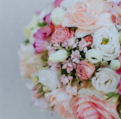 Kwiaciarnia "Pąki z Łąki" z Kwiatomatem! (Nowość), Ostróda godziny otwarcia
