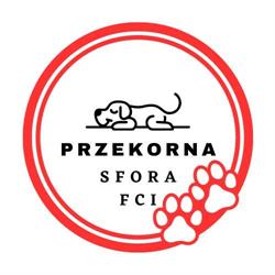 Przekorna Sfora FCI, Racula godziny otwarcia