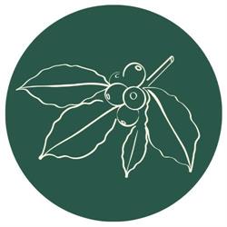 MIEJSCE Speciality Coffee & Matcha, Szczecin godziny otwarcia