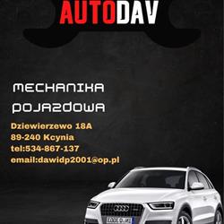 Auto-Dav Dawid Pituła, Dziewierzewo godziny otwarcia