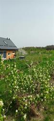 Emma's Berry Farm, Olszyna godziny otwarcia