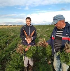 Gospodarstwo rolne Wójcik producent warzyw i jaj wiejskich, Budzów godziny otwarcia