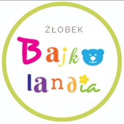 Niepubliczny Żłobek Bajkolandia, Katowice godziny otwarcia