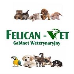Gabinet Weterynaryjny Felican-Vet, Warszawa godziny otwarcia