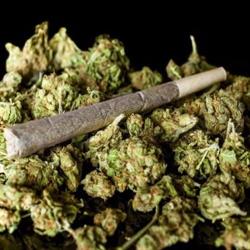 Zielono Hołda e-papierosy VAPE SHOP Bongo Shop, Ruda Śląska godziny otwarcia
