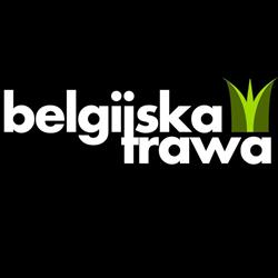 Belgijskatrawa.pl, Dębica godziny otwarcia