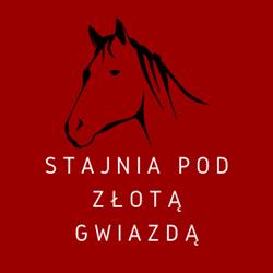 Stajnia Pod Złotą Gwiazdą, Sochocin godziny otwarcia