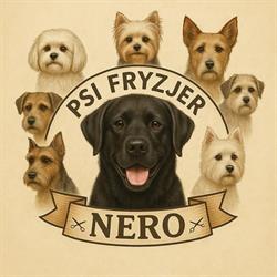 Psi Fryzjer Nero, Żydowo godziny otwarcia