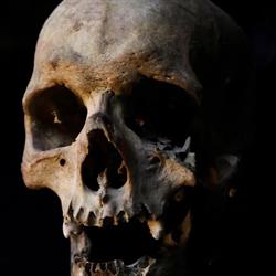 Forty Skulls Tattoo, Dąbrowa Górnicza godziny otwarcia