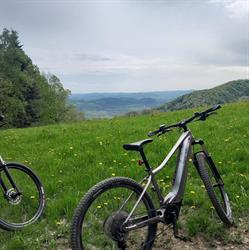 Wypożyczalnia rowerów elektrycznych Nad Stawami, Ujanowice godziny otwarcia