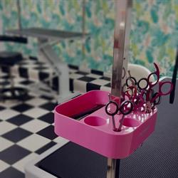 Spa dla Psa, Grajewo godziny otwarcia