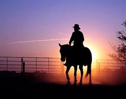 Palomino Ranch, Świnoujście godziny otwarcia