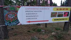 Grzegorz Antonowicz Gospodarstwo ogrodnicze, Mońki godziny otwarcia