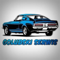 Golubski Serwis, Ciecierzyce godziny otwarcia