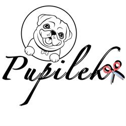 Pupilek-strzyżenie i pielęgnacja psów, Grudziądz godziny otwarcia