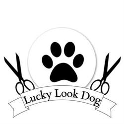 Salon Pielęgnacji Zwierząt Lucky Look Dog, Sławno godziny otwarcia