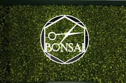BONSAI, Rawa Mazowiecka godziny otwarcia