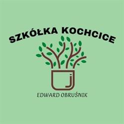 Szkółka Roślin Obruśnik Kochcice, godziny otwarcia