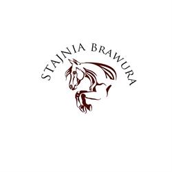 Stajnia Brawura, Ornontowice godziny otwarcia