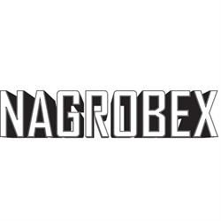 NAGROBEX - Sprzedaż i renowacja nagrobków, Poznań godziny otwarcia