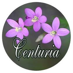 Sklep Zielarski Centuria, Radom godziny otwarcia