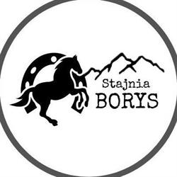 Stajnia Borys, Juszczyn godziny otwarcia