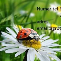 Agroturystyka stokrotka, Zakrzyn godziny otwarcia