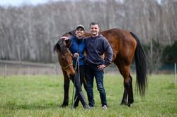 Szkoła Alfa Horse - Psychologia & Trening Koni, Jabłonna godziny otwarcia