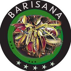 Barisana, Drawsko godziny otwarcia