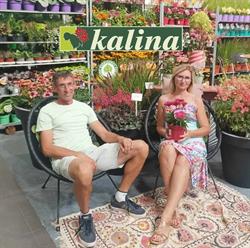 Kalina szkółka roślin ozdobnych w Kluczach, Klucze godziny otwarcia