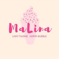MALINA Lody Tajskie Gofry Bąbelkowe, Krynica Morska godziny otwarcia